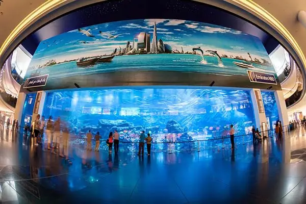 آکواریوم دبی